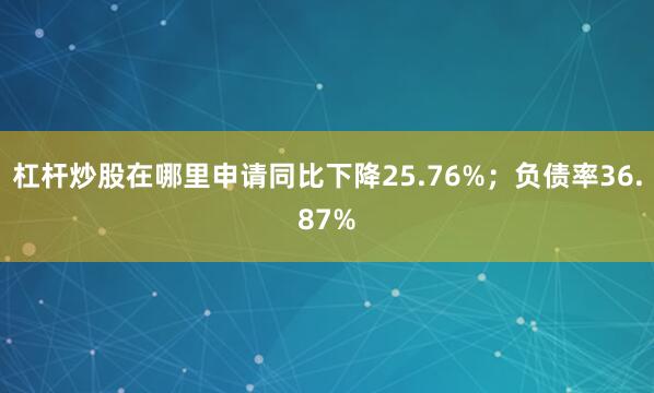 杠杆炒股在哪里申请同比下降25.76%；负债率36.87%