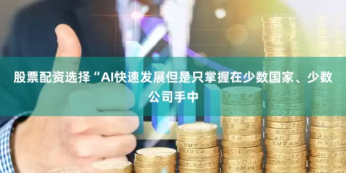 股票配资选择“AI快速发展但是只掌握在少数国家、少数公司手中