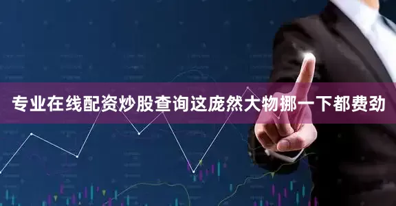 专业在线配资炒股查询这庞然大物挪一下都费劲