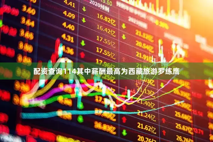 配资查询114其中薪酬最高为西藏旅游罗练鹰