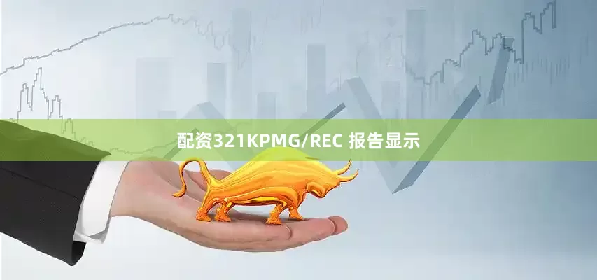配资321KPMG/REC 报告显示
